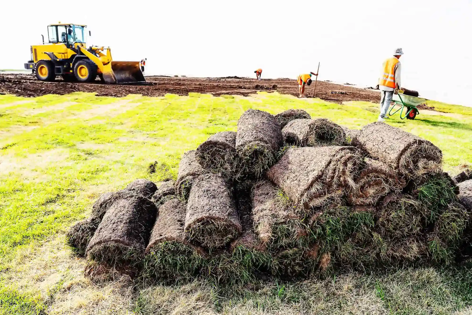 Landscaping Insurance Oregon